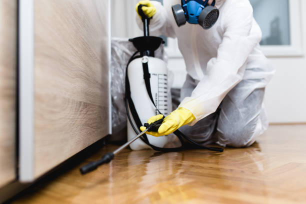 Best Best Pest Control Companies  in Bronson, MI