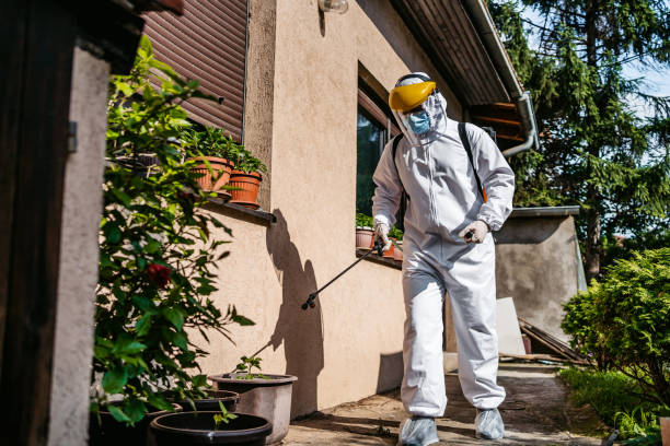 Best Pest Control Near Me  in Bronson, MI