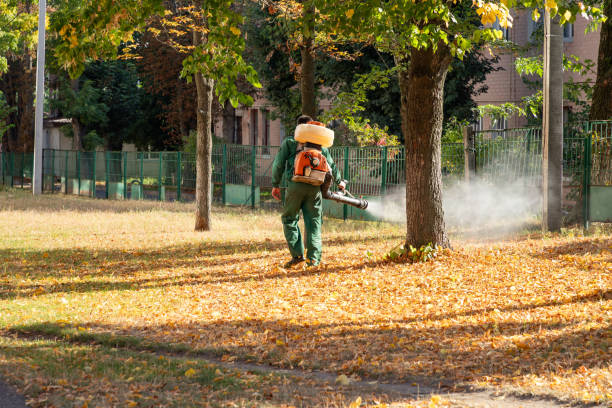 Best Residential Pest Control  in Bronson, MI