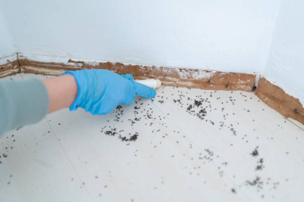 Best Best Pest Control Companies  in Bronson, MI